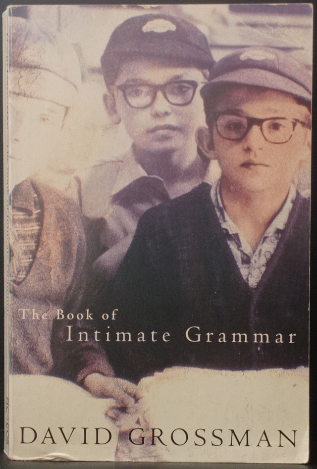 The Book of Intimate Grammar de David Grossman