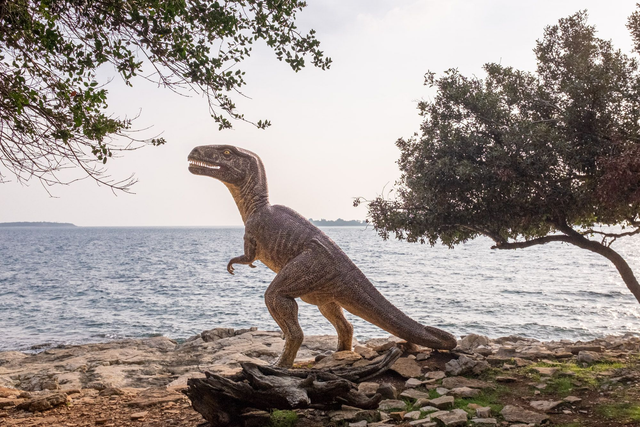 A Short Story of The Cosmos