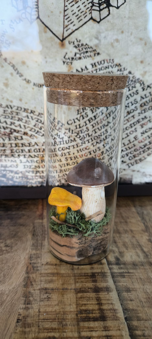 Champi&#039;Cèpe et Girolle