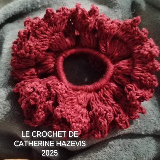 2025 CHOUCHOU CHEVEUX 