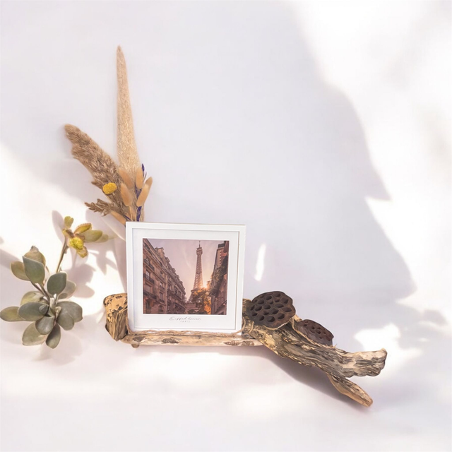 Porte photo bois flotté  