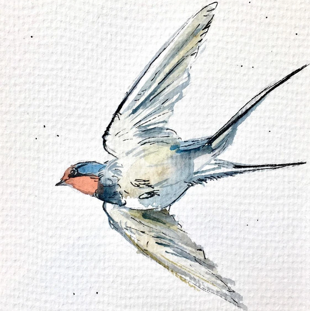 Képeslap, fecskeköszöntő