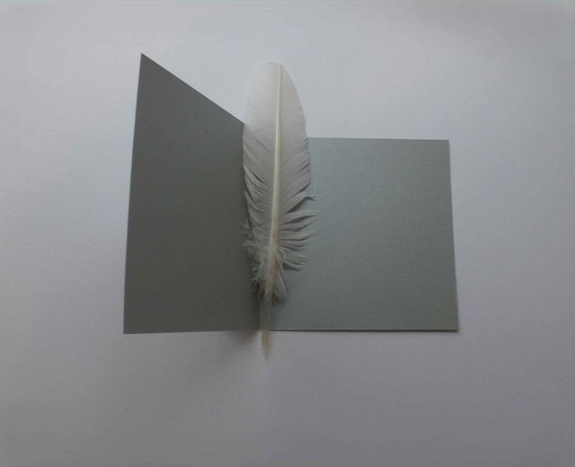 Joli martin-pêcheur de Noël