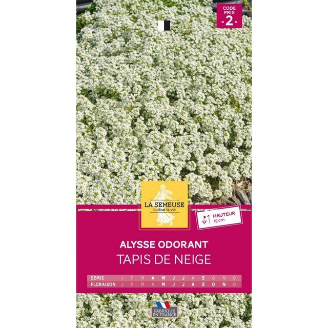 Alysse Odorant Tapis de Neige