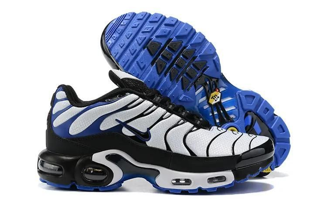 Nike tn air max plus 