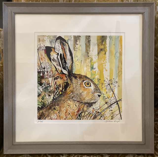 The Hare (Limited Edition Framed Print)