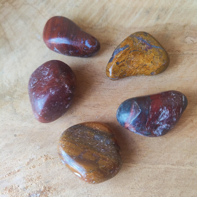 Pierre roulée Bois Fossilisé A