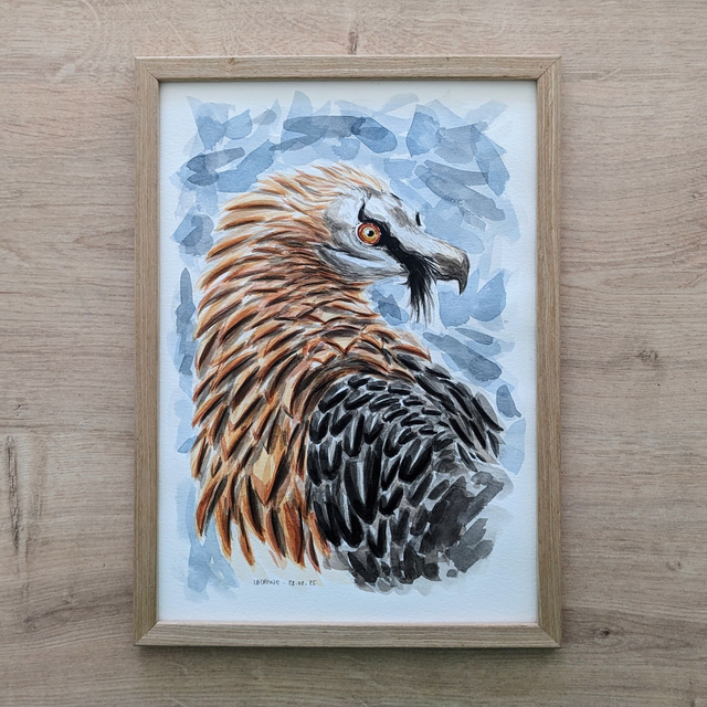 "Le solitaire" - Aquarelle originale