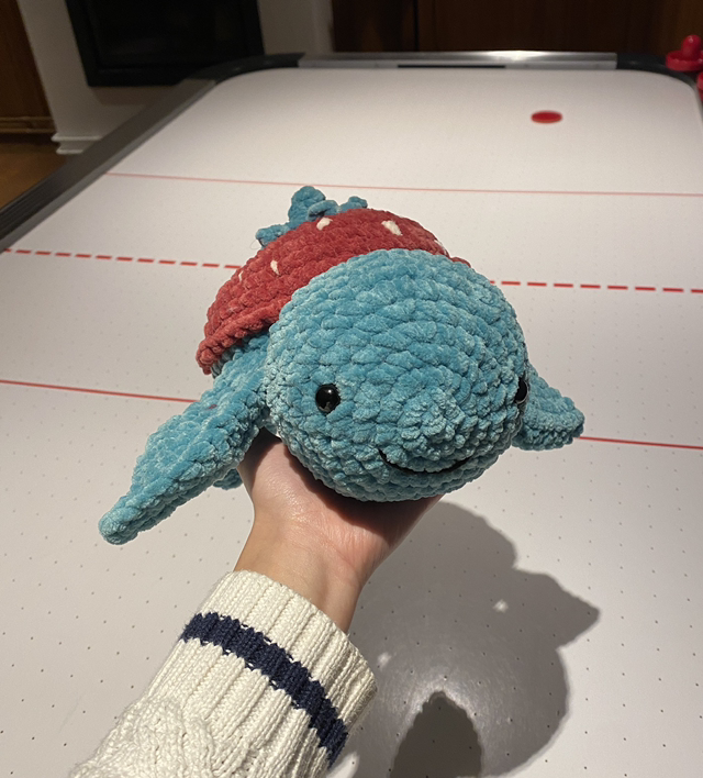 Tortue fraise 🐢🍓