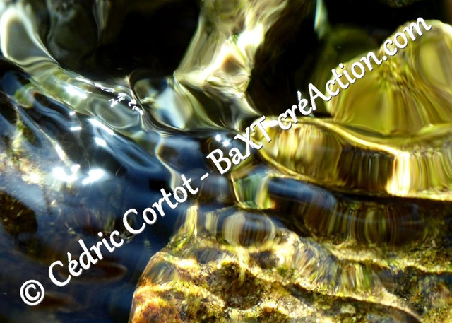 Carte postale - Reflets et cours d'Eau (Ref P1170490)