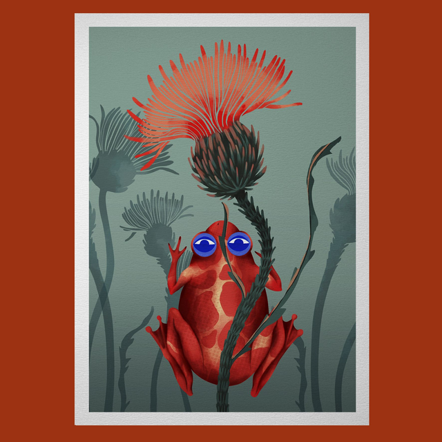 Grenouille rouge &amp; chardons