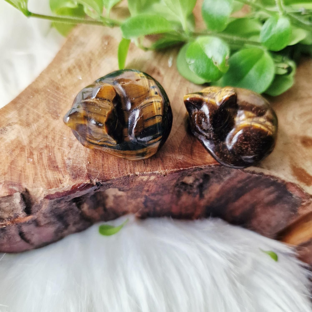 Mini Tigers eye sleeping cat carving 