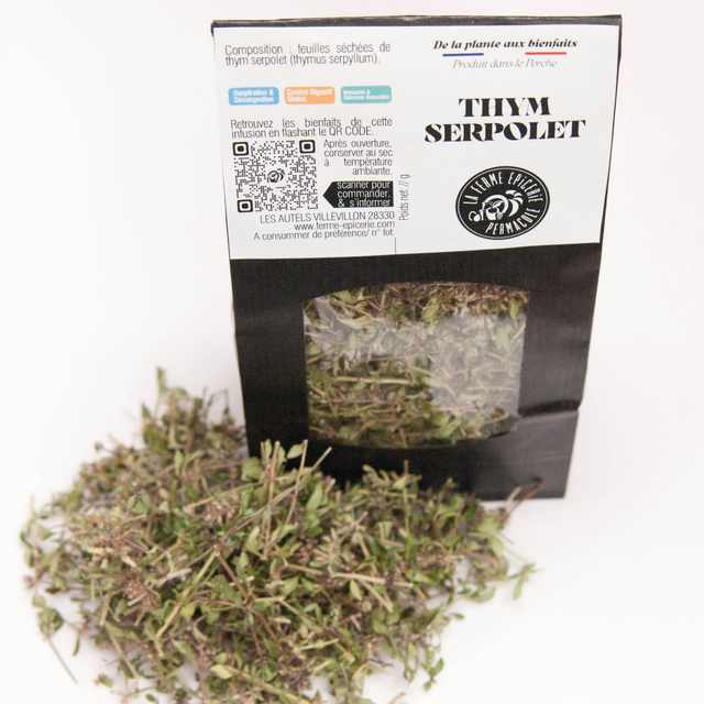 THYM SERPOLET