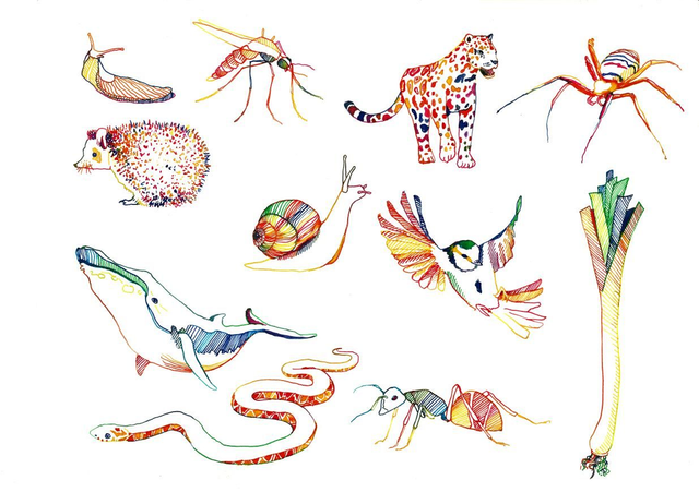 Les animaux (ou autre) de votre choix 