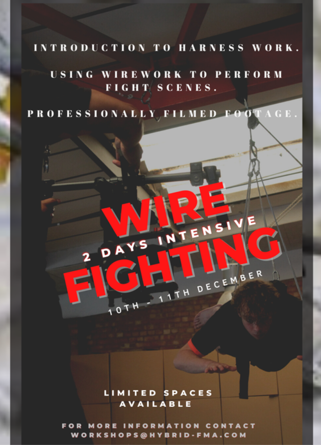 Wirework + Fighting Workshop Instalment Plan