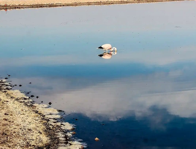 $35.000 Laguna Cejar