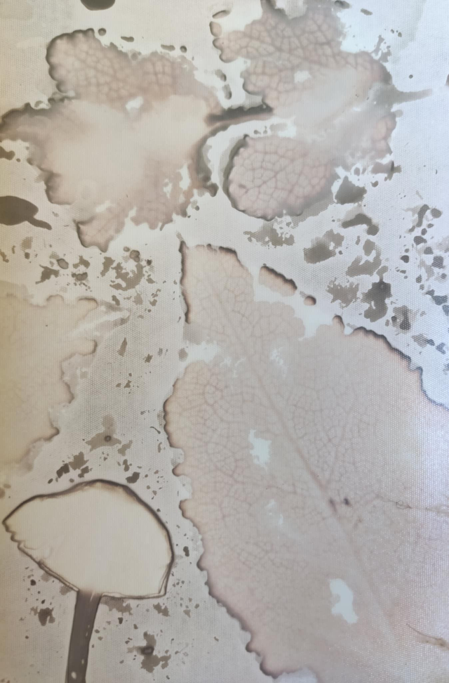 Bouquet d'automne – Molène floconneuse, menthe et champignon