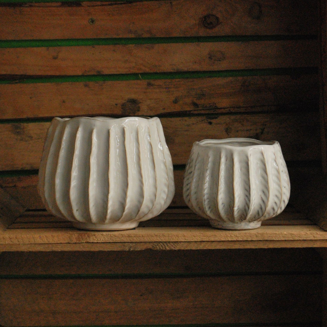 Ribbed Pot - White