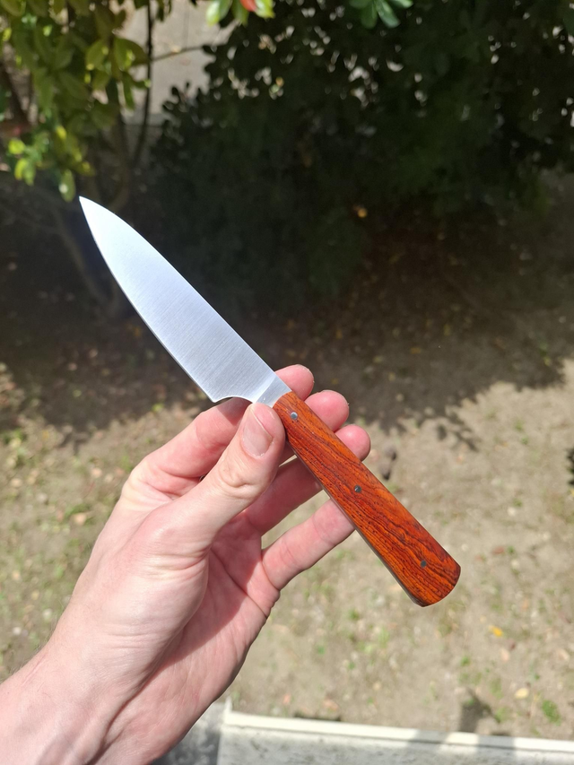 Office - Cocobolo