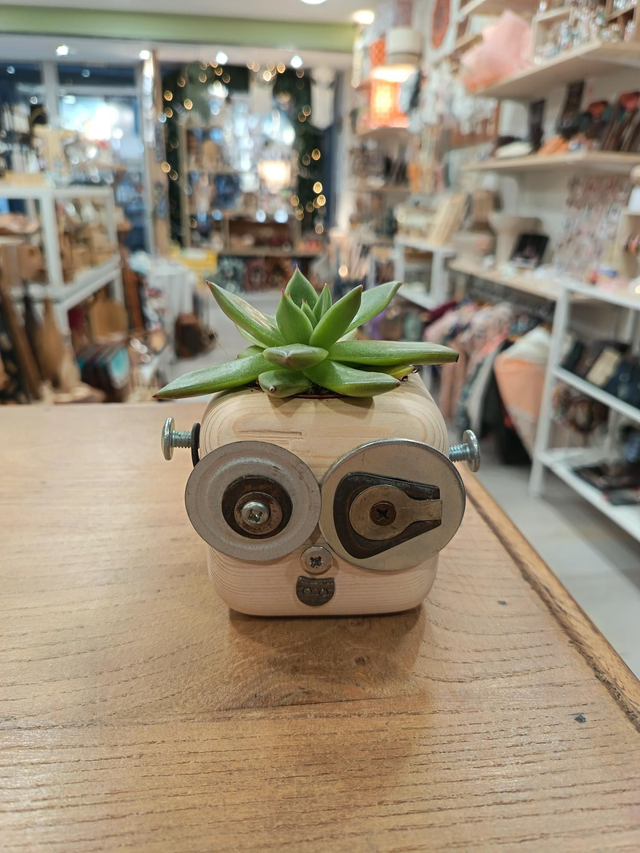 Tête plante (sans socle)