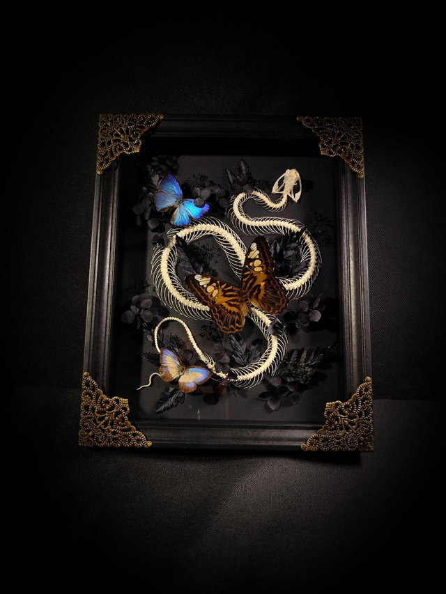 Cadre Serpent &amp; Papillons