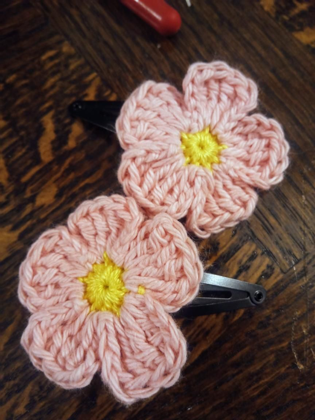 Duo pinces de cheveux 