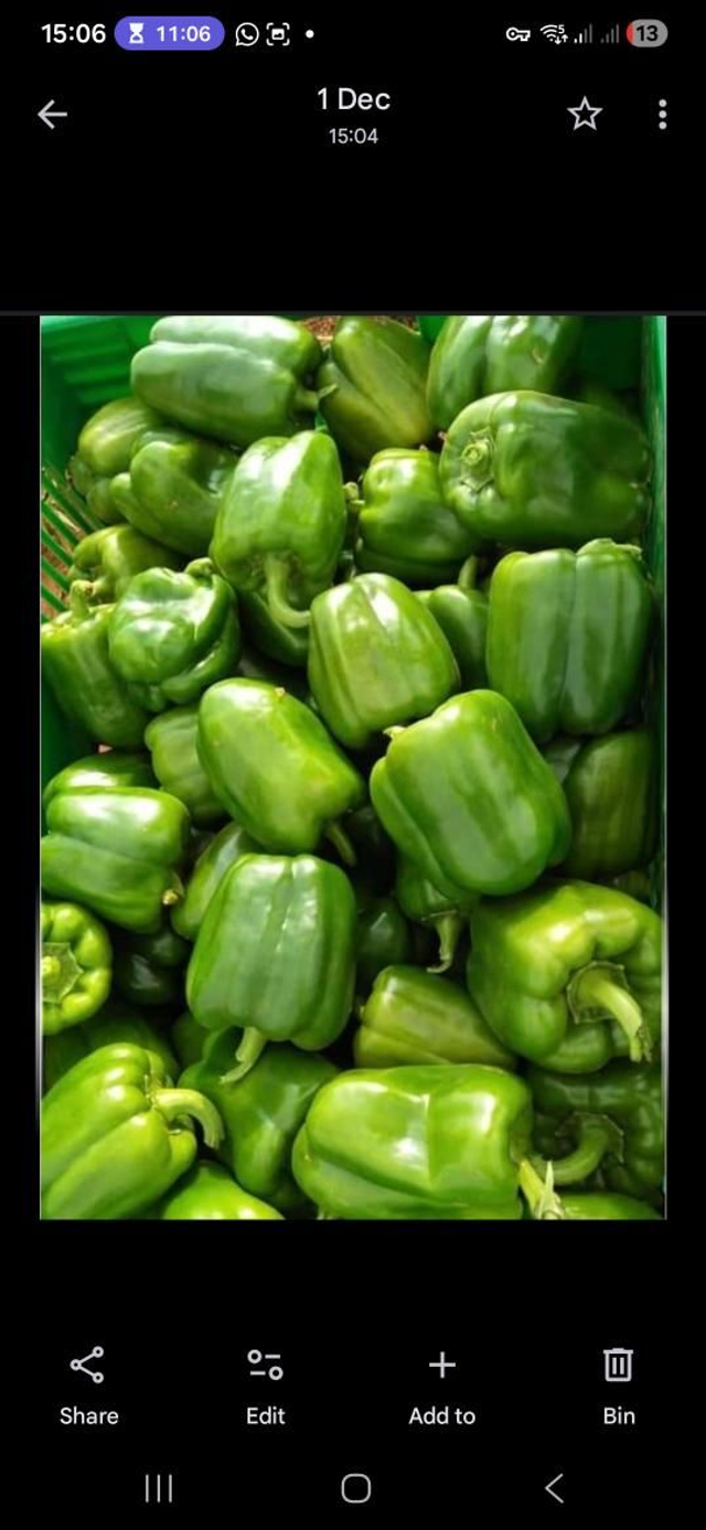 Z Veg Green Pepper 1 kg