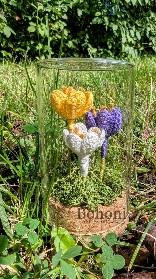 Mini terra CROCUS