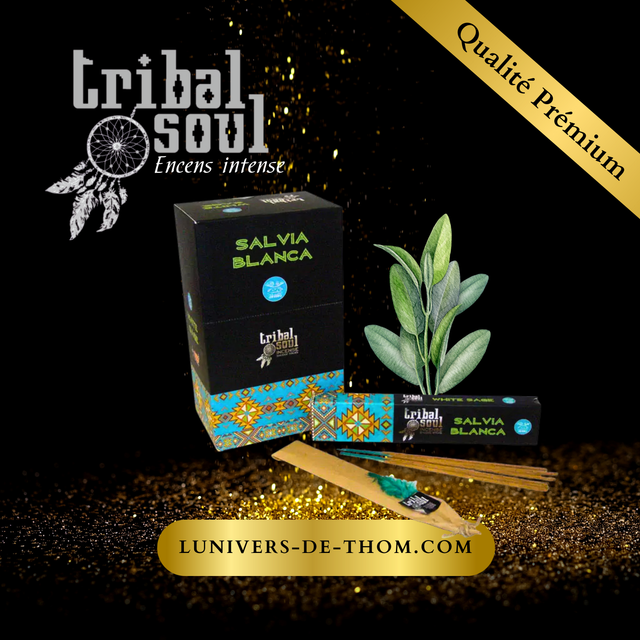 Encens Tribal Soul Sauge Blanche 15 G