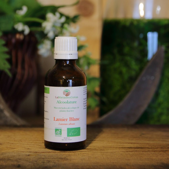 Alcoolature Lamier blanc