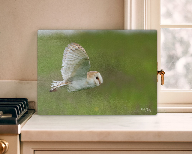 "Barn Owl in Flight" Glass Worktop Saver  