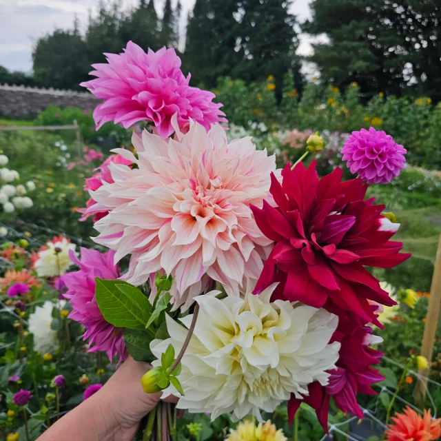 Brush Strokes & Blooms - Tuesday 2nd September - Golden Hour - 4pm - 8pm