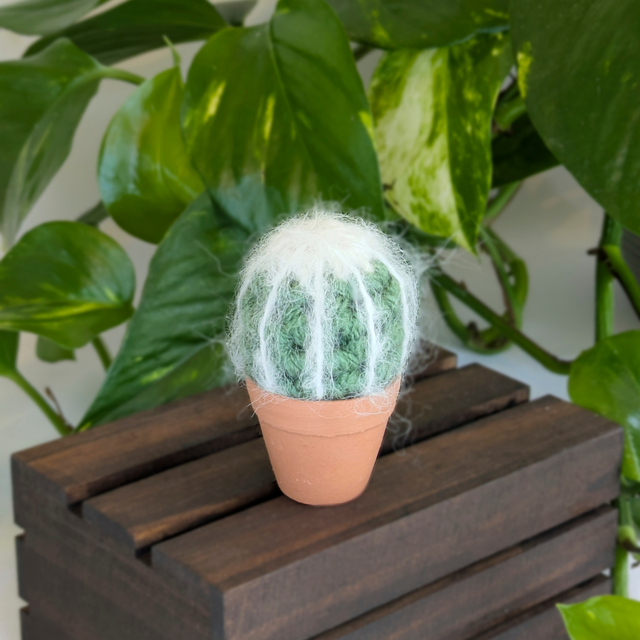 Mini Striped Crochet Cactus