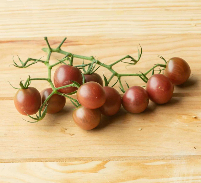 Tomate cerise Black Cherry