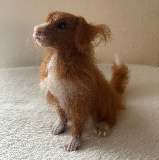 Mini Toller