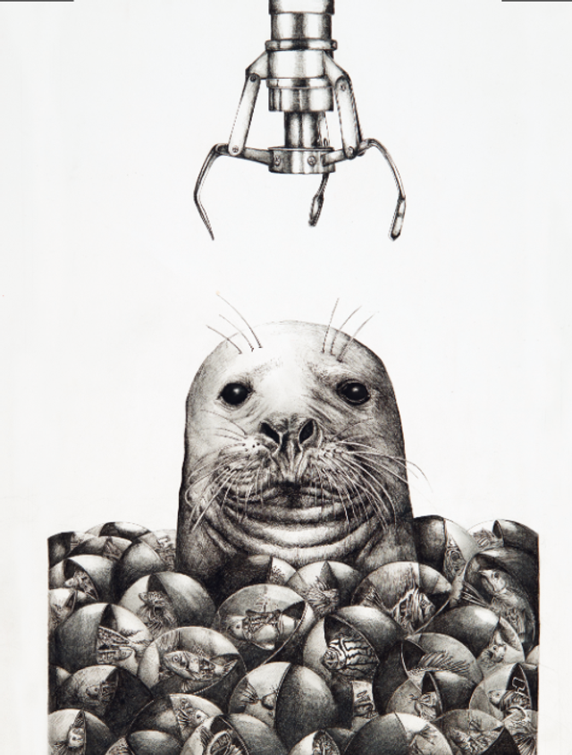 Phoque - Edition Art