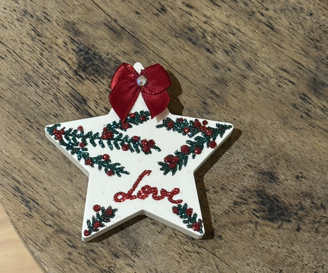 CHRISTMAS STAR MAGNET1