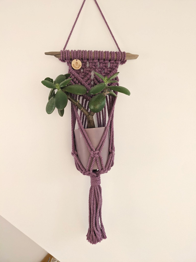 Porte-plante Zamiara