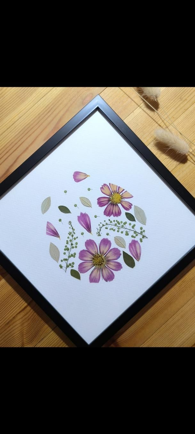 Herbier d'Art Cosmos