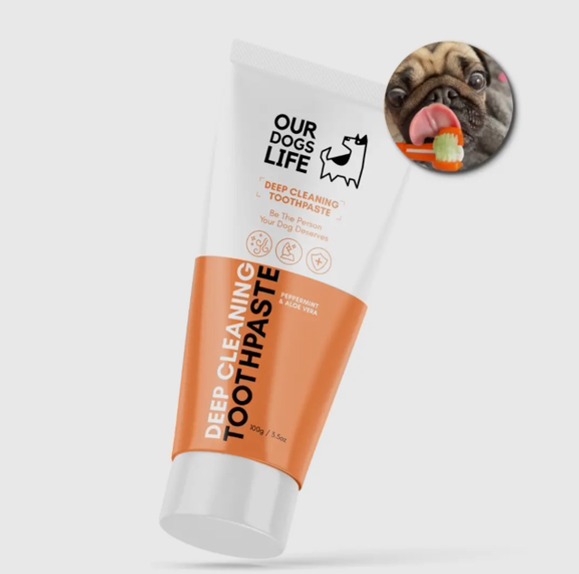 OurPetsLife | Dog Toothpaste