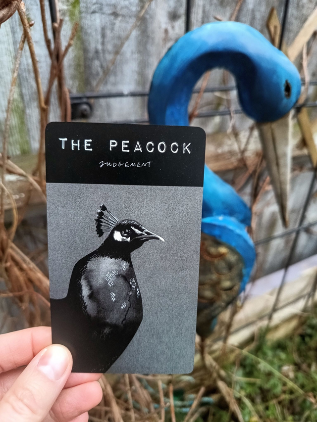 The Hide Tarot: hand-drawn black and white artistic deck full of animals and nature * by Dan Francis