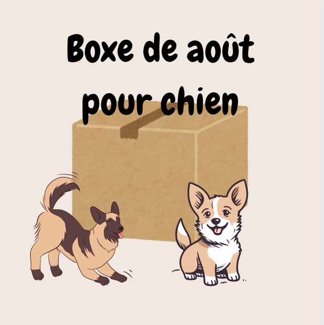 boxe d'aout pour chien