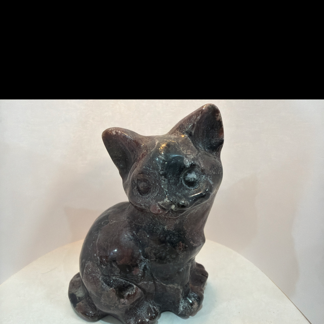 Garnet Cat