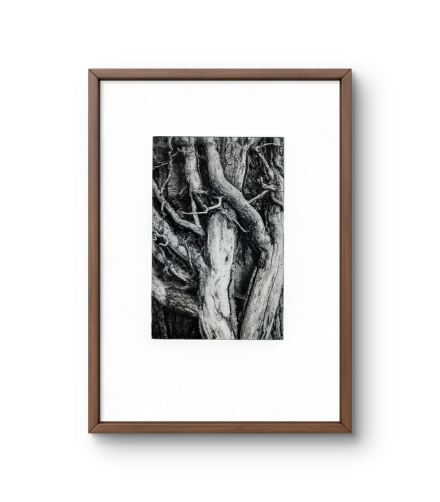 A4 Parasite photogravure handprint framed  
