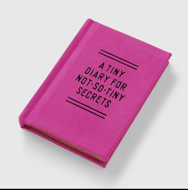 a Tiny diary for not so tint secrets