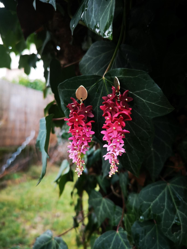 Boucles d'oreilles Signature Pourpre
