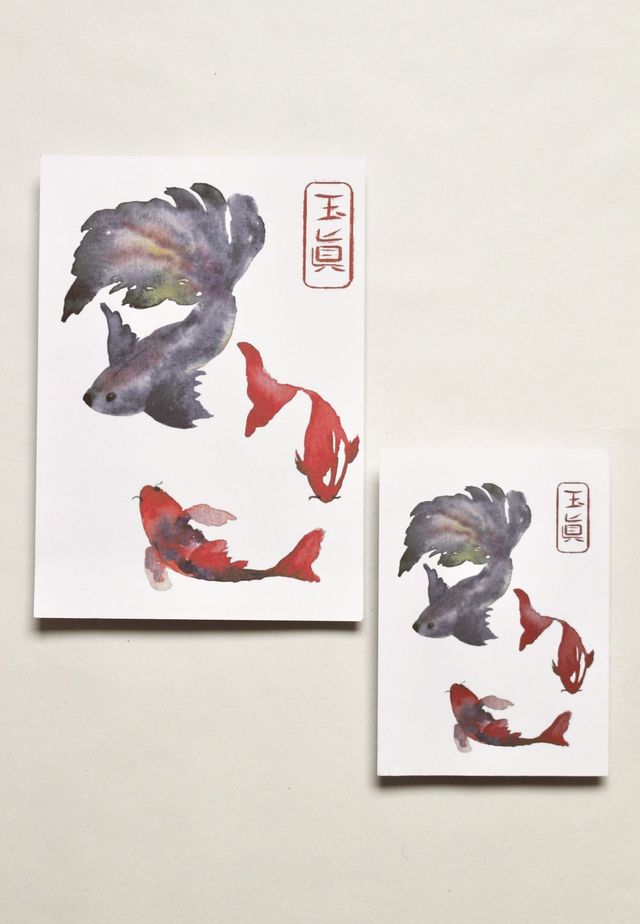 Illustration « Poissons exotiques »