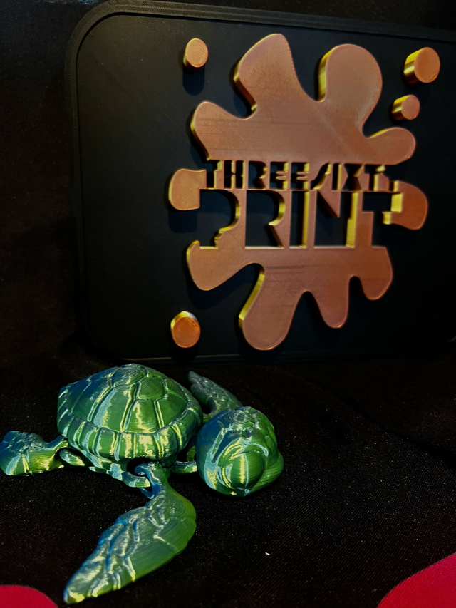 The Turtle 