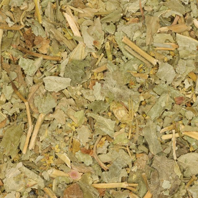 Vrouwenmantel (Lady's mantle) (Alchemilla vulgaris) - BIO