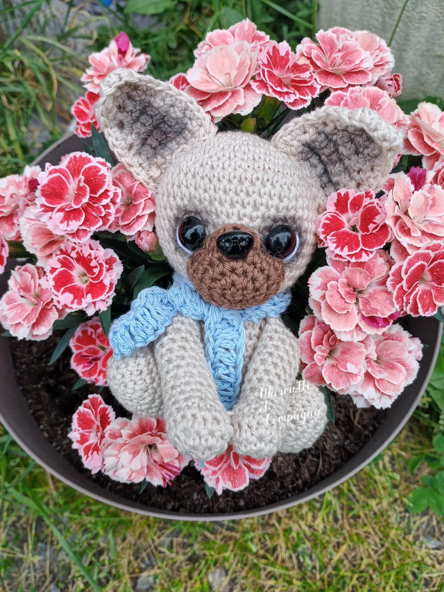 Alfredo le bouledogue français fait au crochet